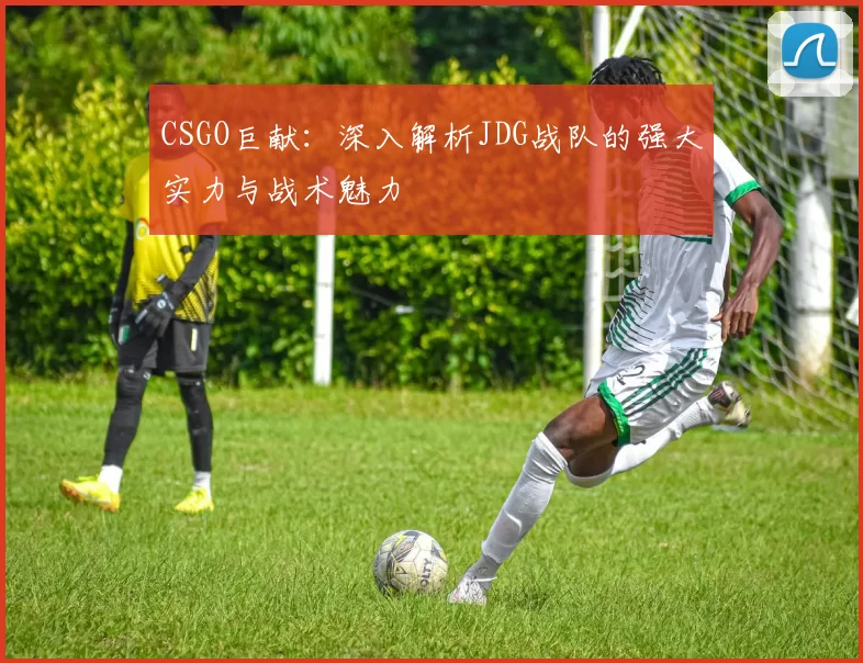 CSGO巨献：深入解析JDG战队的强大实力与战术魅力