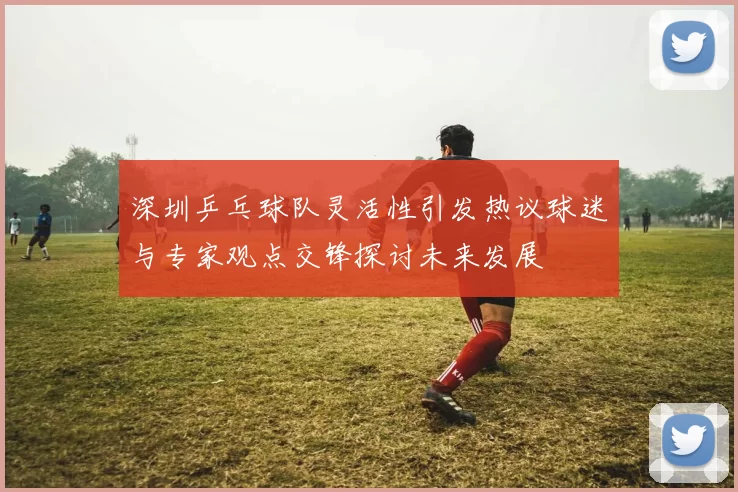 深圳乒乓球队灵活性引发热议球迷与专家观点交锋探讨未来发展