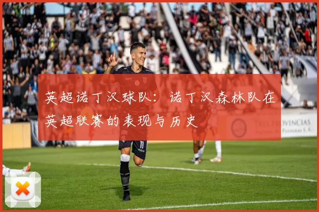 英超诺丁汉球队：诺丁汉森林队在英超联赛的表现与历史
