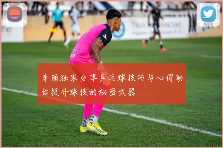 李丽独家分享乒乓球技巧与心得助你提升球技的秘密武器
