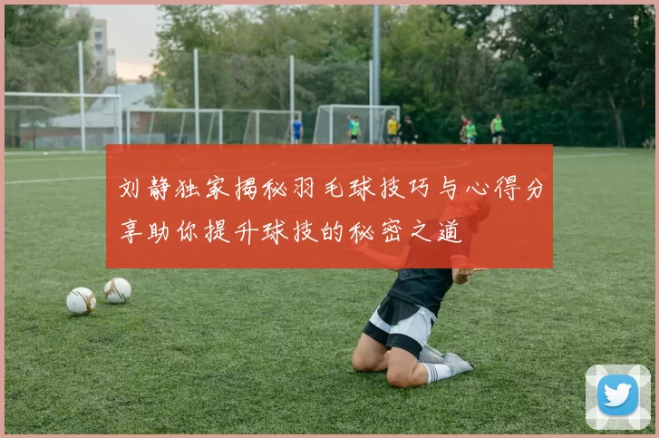 刘静独家揭秘羽毛球技巧与心得分享助你提升球技的秘密之道