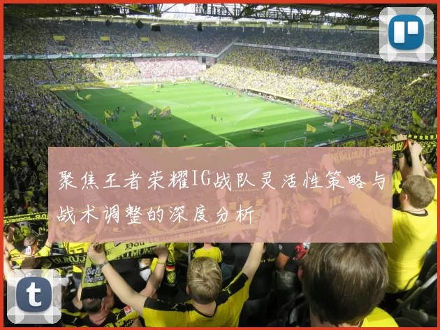 聚焦王者荣耀IG战队灵活性策略与战术调整的深度分析