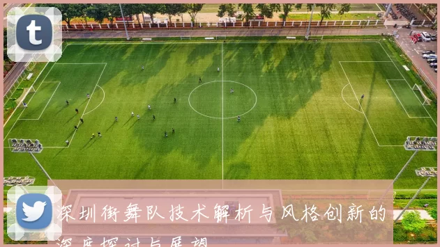 深圳街舞队技术解析与风格创新的深度探讨与展望