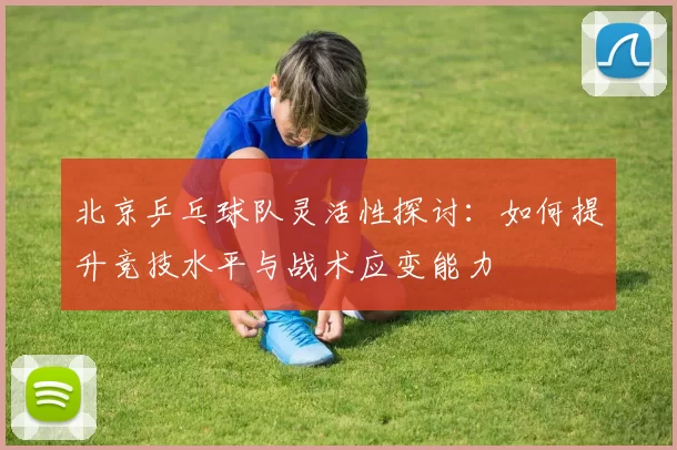 北京乒乓球队灵活性探讨：如何提升竞技水平与战术应变能力