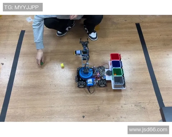 乒乓球传奇杨磊的成长之路与职业生涯深度对话