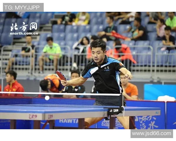 杭州乒乓球队的节奏分析与未来发展趋势探讨