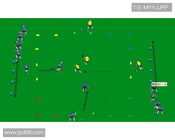 武汉飞盘队区域防守创新探索与战术分析全景解读